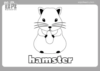 Hamster Coloring Page
